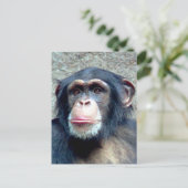 Chimpansee Briefkaart (Staand voorkant)