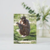 CHIMPANSEE BRIEFKAART (Staand voorkant)