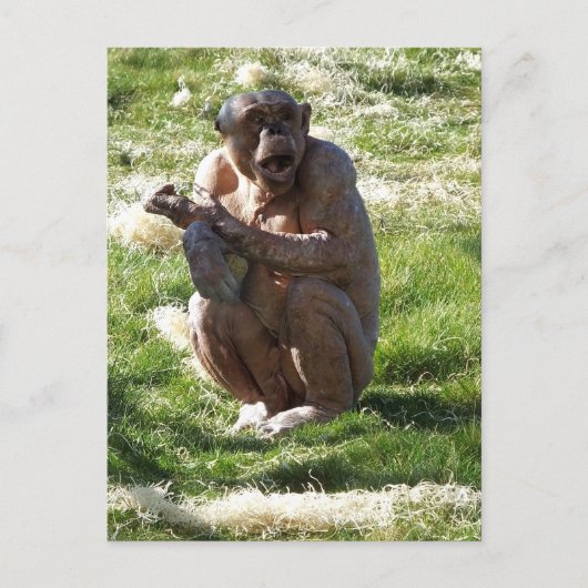 CHIMPANSEE BRIEFKAART (Voorkant)