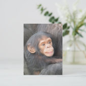 Chimpansee Briefkaart (Staand voorkant)
