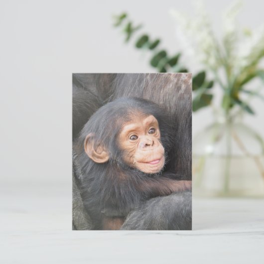 Chimpansee Briefkaart (Staand voorkant)
