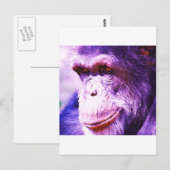 Chimpansee Briefkaart (Voorkant / Achterkant)