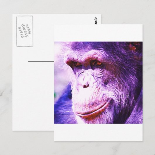 Chimpansee Briefkaart (Voorkant / Achterkant)