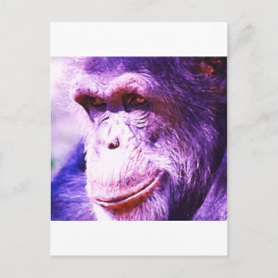 Chimpansee Briefkaart