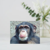 Chimpansee Briefkaart (Staand voorkant)
