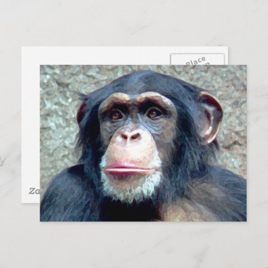 Chimpansee Briefkaart (Voorkant / Achterkant)