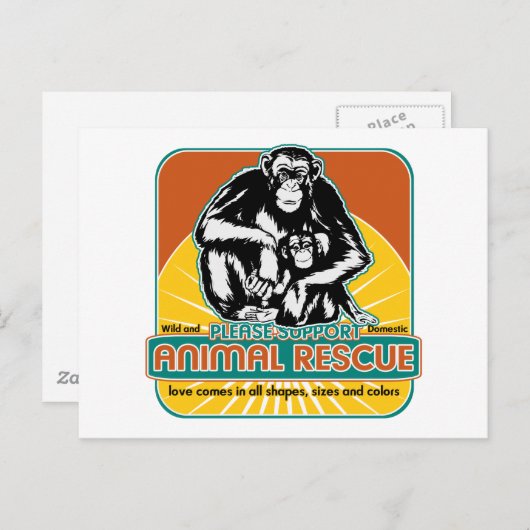 Chimpansee Briefkaart (Voorkant / Achterkant)