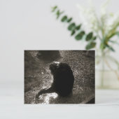 Chimpansee - Briefkaart (Staand voorkant)