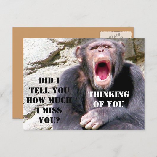 Chimpansee_ Briefkaart (Voorkant / Achterkant)