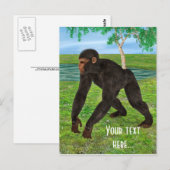 Chimpansee Briefkaart (Voorkant / Achterkant)