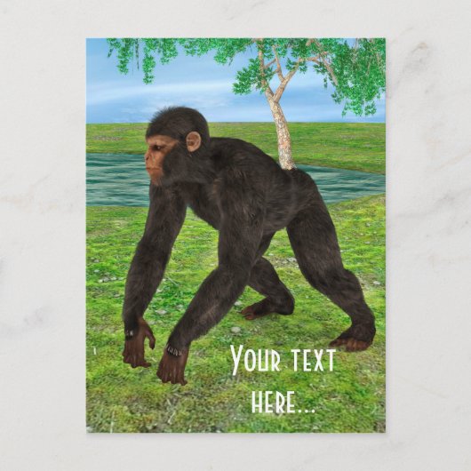 Chimpansee Briefkaart (Voorkant)
