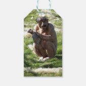 CHIMPANSEE CADEAULABEL (Voorkant)