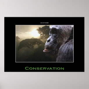 Chimpansee Conservation Wildlife Art Poster