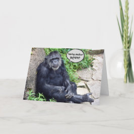 Chimpansee die ouder wordt kaart