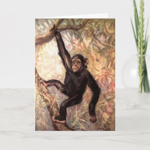 Chimpansee door CE Swan, Vintage Wilde Jungle Dier Kaart