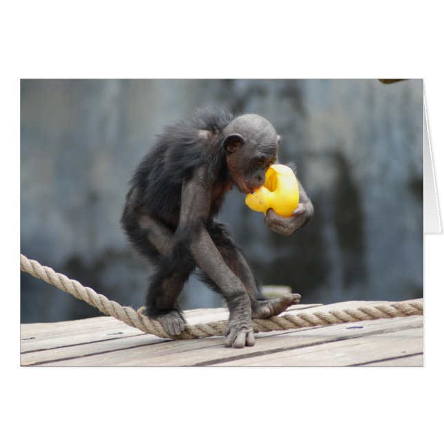 Chimpansee en Rubbery Ducky (Voorkant Horizontaal)