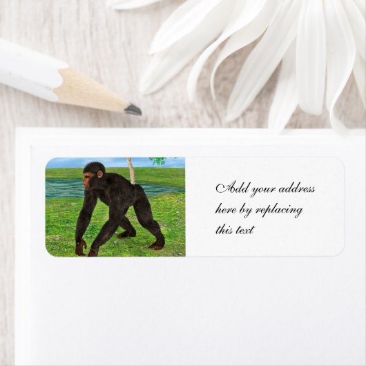 Chimpansee Etiket (Insitu)