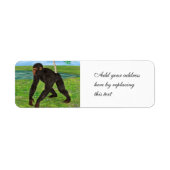 Chimpansee Etiket (Voorkant)