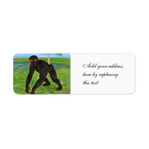 Chimpansee Etiket