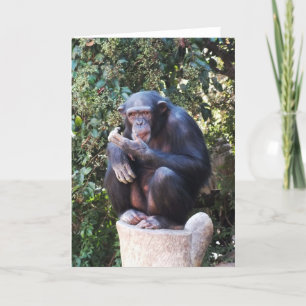 Chimpansee Feestdagen Kaart