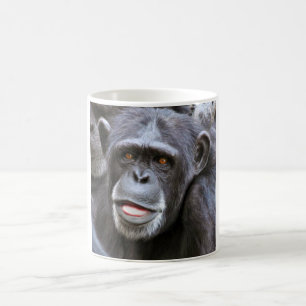 Chimpansee-foto Koffiemok
