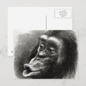 Chimpansee Gedisformeerd en Sulky Briefkaart (Voorkant / Achterkant)