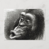 Chimpansee Gedisformeerd en Sulky Briefkaart (Voorkant)