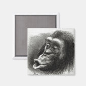 Chimpansee Gedisformeerd en Sulky Magneet (Voorkant / Achterkant)