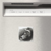 Chimpansee Gedisformeerd en Sulky Magneet (Insitu (Vaatwasser))