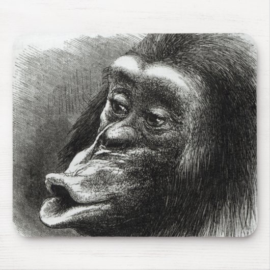 Chimpansee Gedisformeerd en Sulky Muismat (Voorkant)