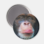 CHIMPANSEE GEZICHT Primaat Wildlife Art Magnet (Voorkant / Achterkant)