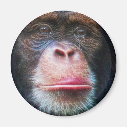 CHIMPANSEE GEZICHT Primaat Wildlife Art Magnet (Voorkant)