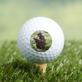 CHIMPANSEE GOLFBALLEN (Insitu Shirt)