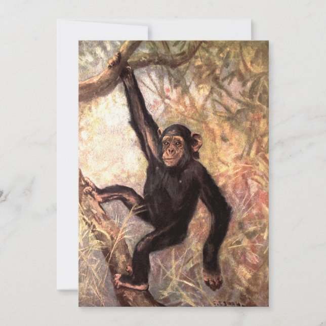 Chimpansee Hanging in Tree (Voorkant)