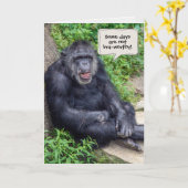 chimpansee humor voor aanmoediging van vriend kaart (Gele Bloem)