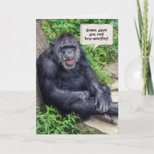 Chimpansee humor voor een fijne dag kaart