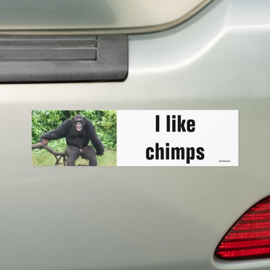 Chimpansee in Afrika Bumpersticker (Op auto)
