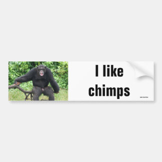 Chimpansee in Afrika Bumpersticker