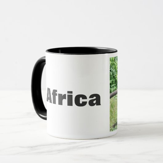 Chimpansee in Afrika Mok (Voorkant links)