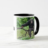 Chimpansee in Afrika Mok (Voorkant rechts)