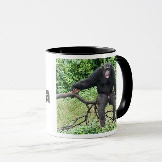 Chimpansee in Afrika Mok (Voorkant rechts)