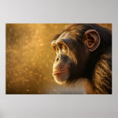 Chimpansee in de natuur poster (Voorkant)