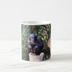 Chimpansee Koffiemok