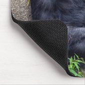 chimpansee leanting on rock muismat (Hoek)