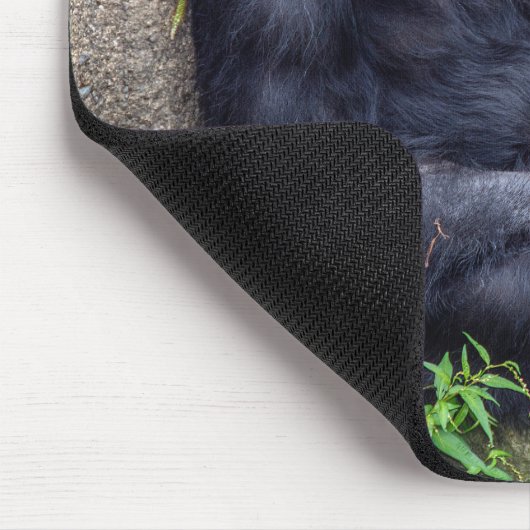 chimpansee leanting on rock muismat (Hoek)