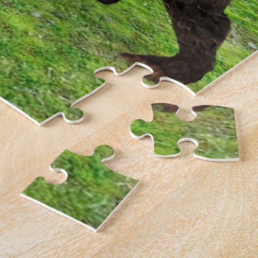 Chimpansee Legpuzzel (Zijkant)