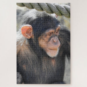 Chimpansee Legpuzzel
