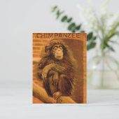 Chimpansee  Magic Lantern Slide 1890's Briefkaart (Staand voorkant)