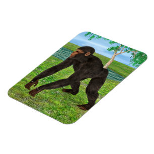 Chimpansee Magneet
