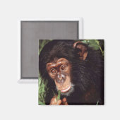 Chimpansee Magneet (Voorkant / Achterkant)